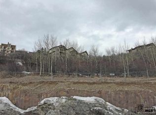 Burgess Creek Rd, Steamboat Springs, CO 80487