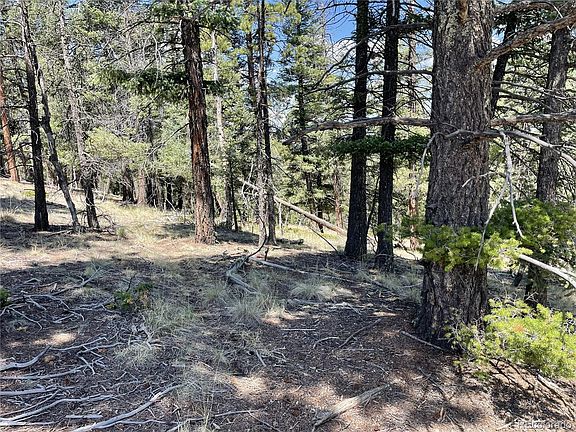 4th image of 971 Spring Valley Lane LOT 1115