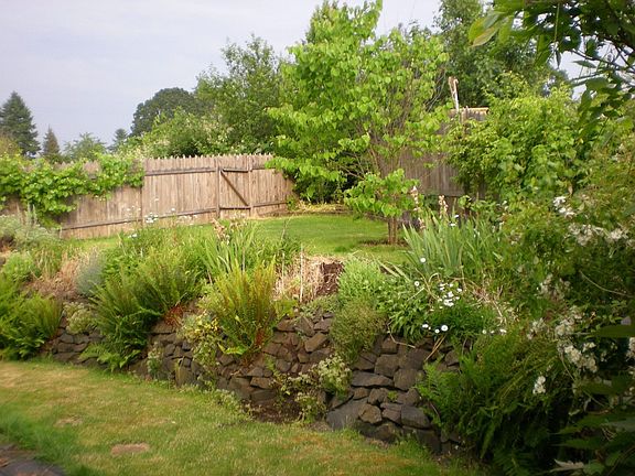 Terraced Backyard