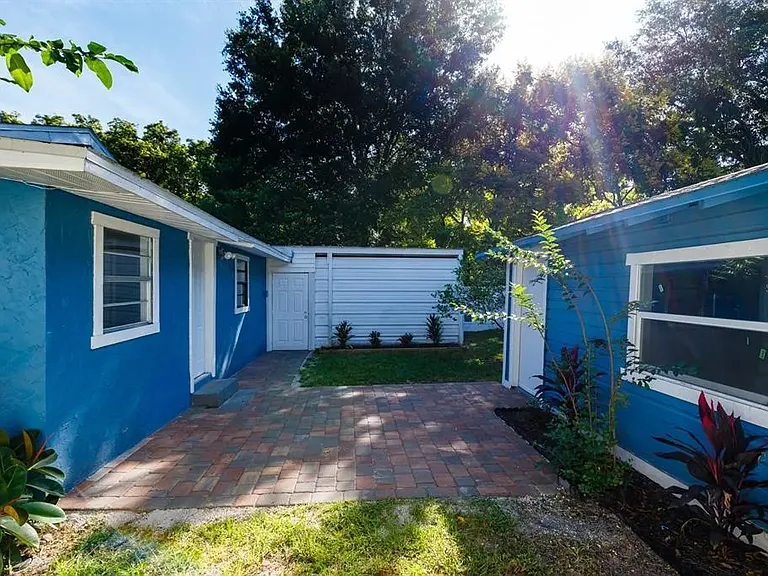 Fenced in backyard, complete with a mature lime tree.