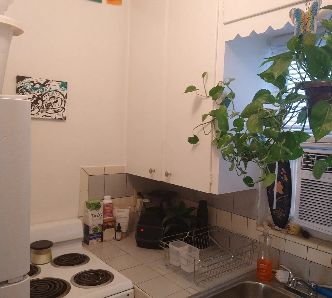 445 7th Ave N - 3 — Photo 4