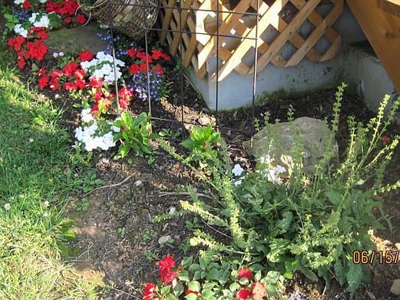 Flower Garden