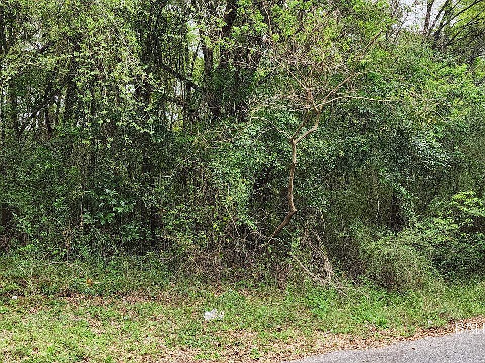 2nd image of 0 Mill House Dr N