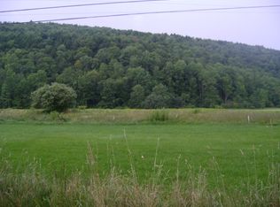 Pine Mill Rd, Equinunk, PA 18417