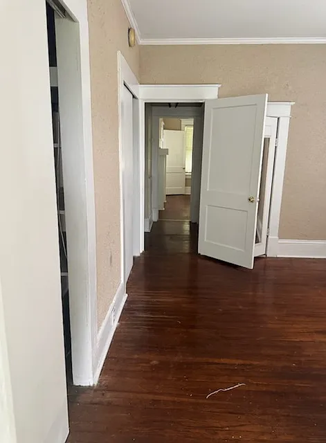 3 bed, 1701 sqft, $1,100 — Photo 3