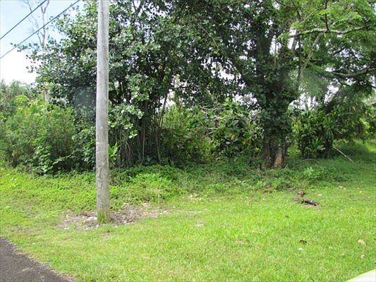 2nd image of N Papai St