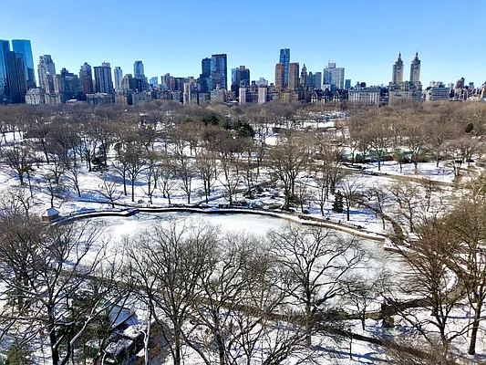 Sold by Douglas Elliman | media 15