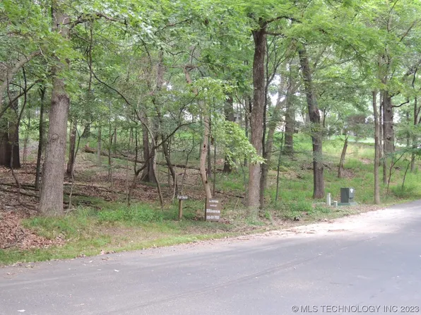 Sage Grouse Cir, Afton, OK 74331