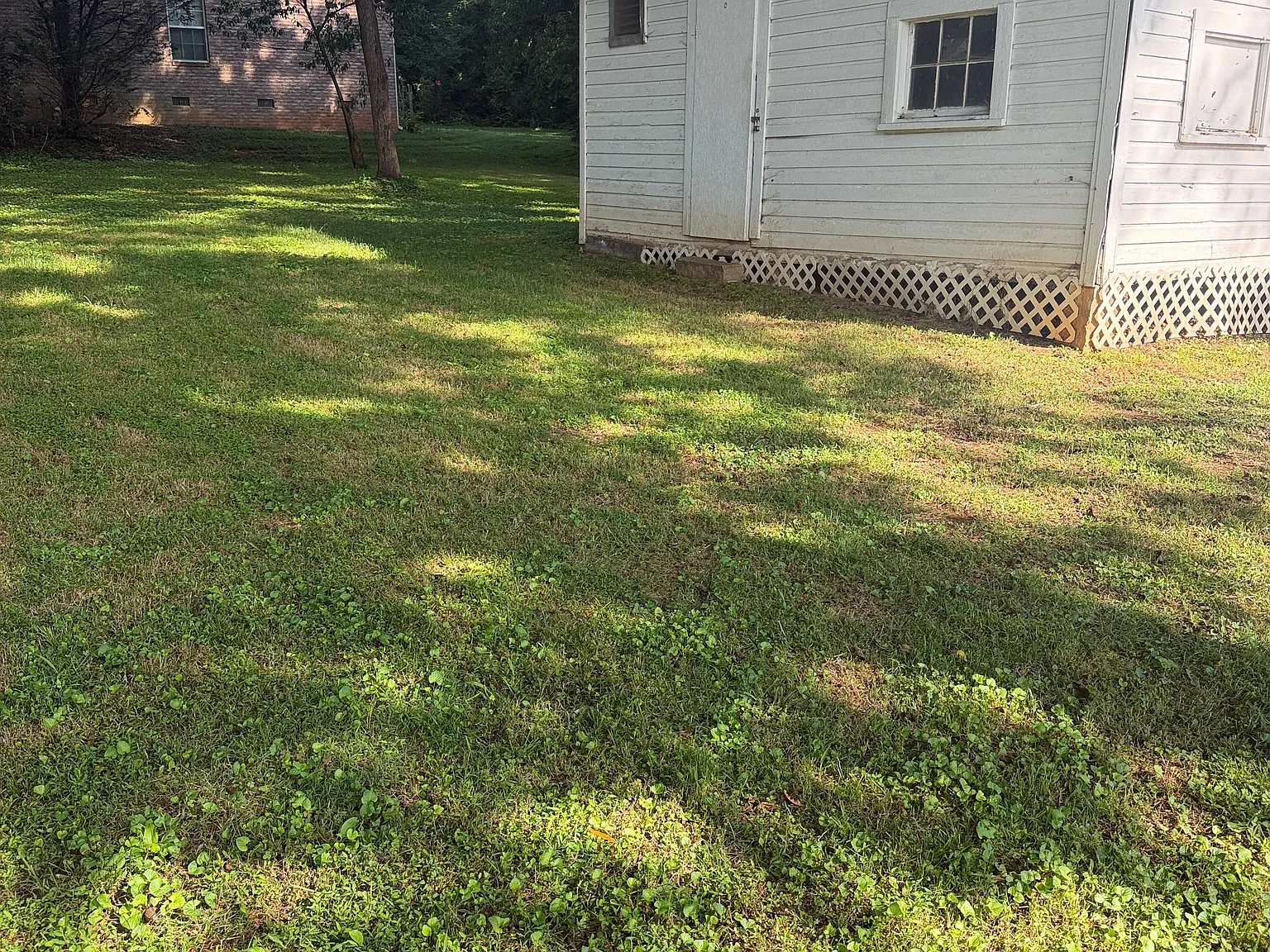 2 bed, 1100 sqft, $1,235 — Photo 4