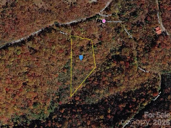 1650 Tower Rd, Sapphire, NC 28774