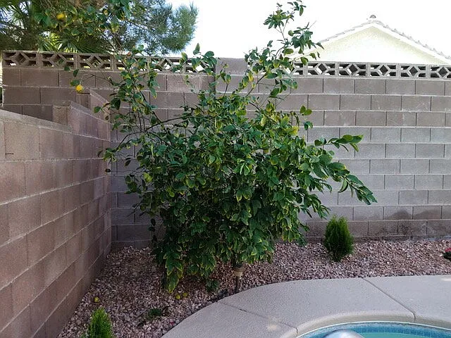 3767 Ruskin St — Photo 16