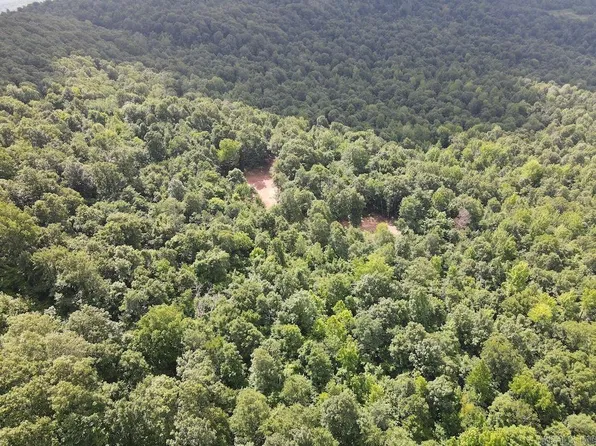 County Road 5, Witts Springs, AR 72686