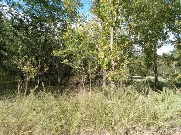 Purple Sage Dr, Jay, OK 74346