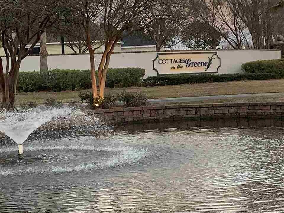 1st image of Yellow Daisy Ln