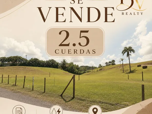 916 Bo Cerro Fld, San Lorenzo, PR 00754