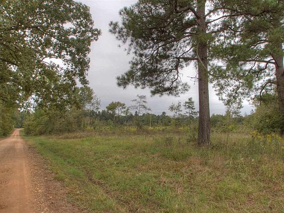3rd image of 559 County Road 2101