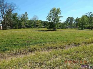 43481 Mary Ln, Sorrento, LA 70778