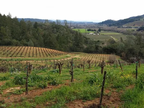 9722 Dry Creek Road, Healdsburg, CA 95448