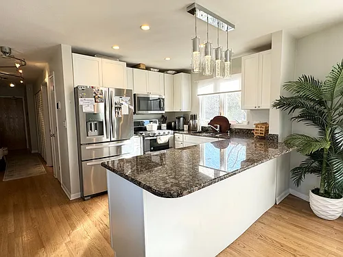 875 N Milwaukee Ave #1S Photo 1