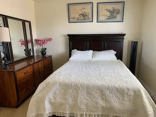 Paseo De La Vis Photo 1