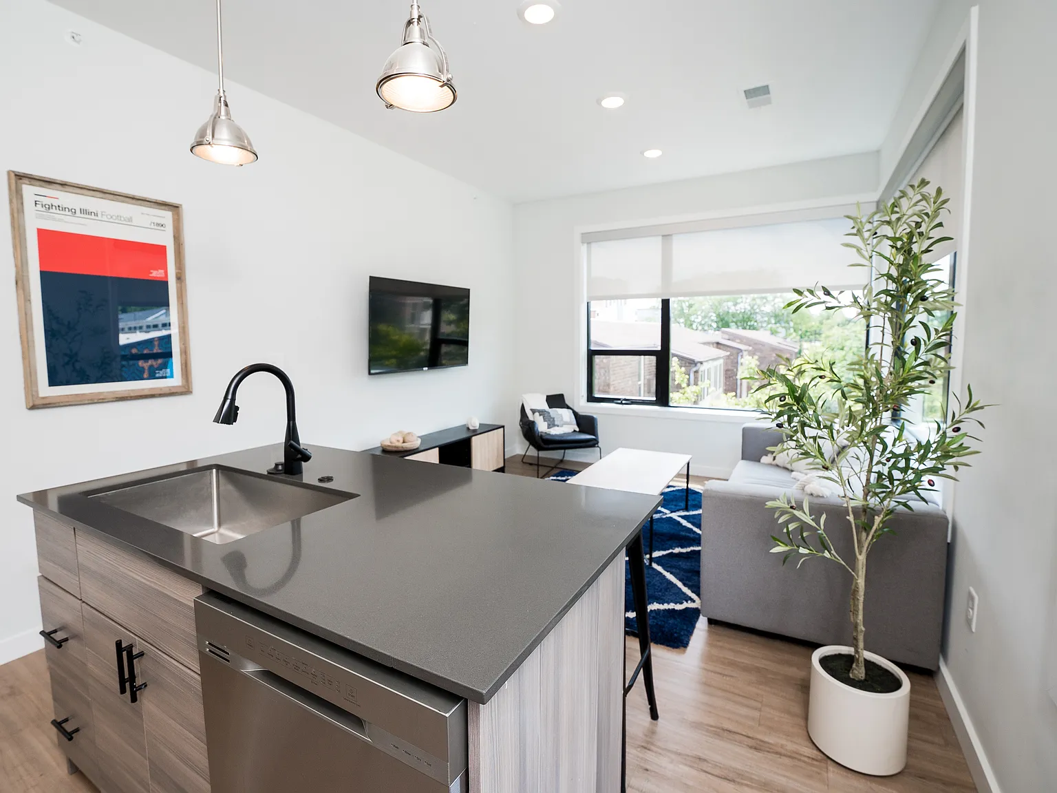 2 bed, 790 sqft, $1,890 — Photo 4