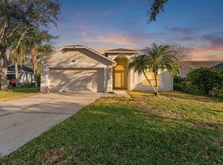 8506 Tiara Park Way, Tampa, FL 33635