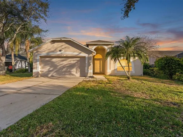 8506 Tiara Park Way, Tampa, FL 33635