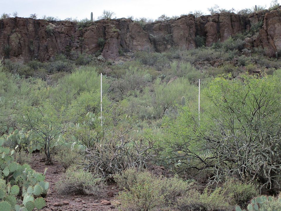 1st image of 5454 S Camino De Oeste