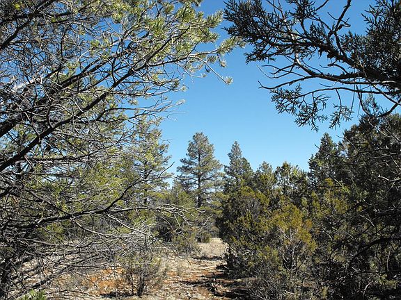 2nd image of 4435 Twin Oaks Loop