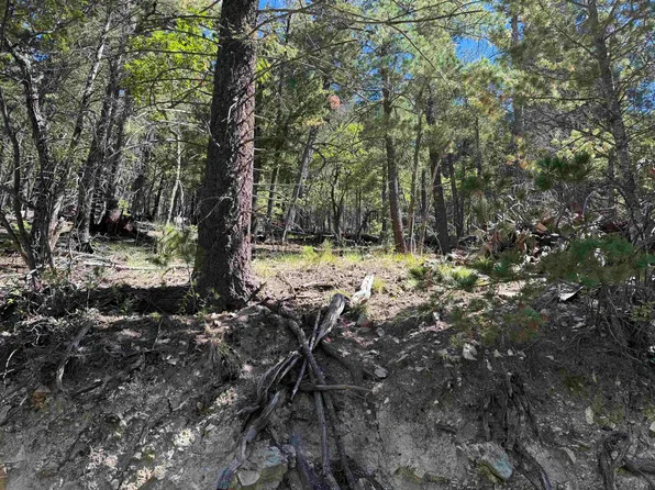 Bushwackers Gulley, Cloudcroft, NM 88317