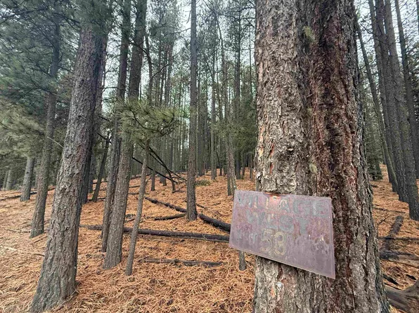 53 Valle Grande Trl S, Angel Fire, NM 87710