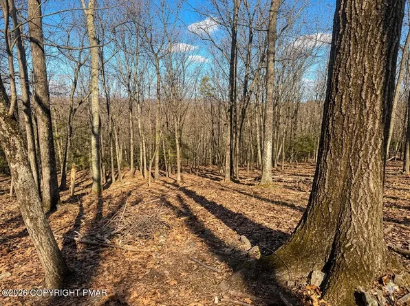 318 Cardinal Rd, Cresco, PA 18326