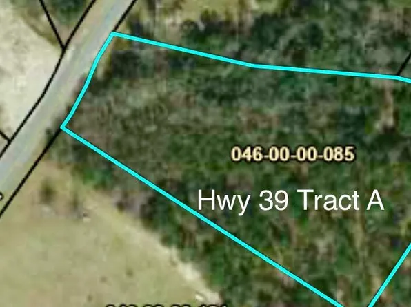 Highway 39 Tract A Ash Ln, Williston, SC 29853