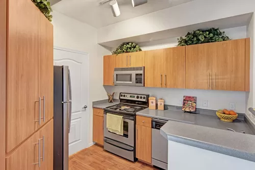 Acclaim Apartments- kitchen with wood cabinets and stainless-steel appliances - Acclaim