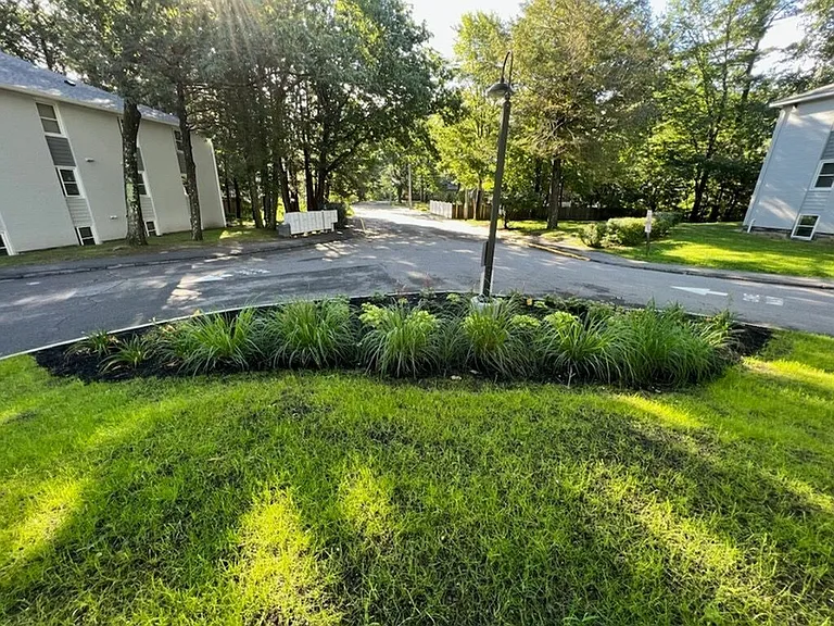 The Bellamy Apartments — Photo 31