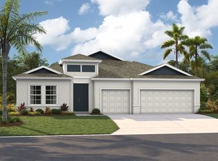 33482 Twilight Sea Pl, Wesley Chapel, FL 33545