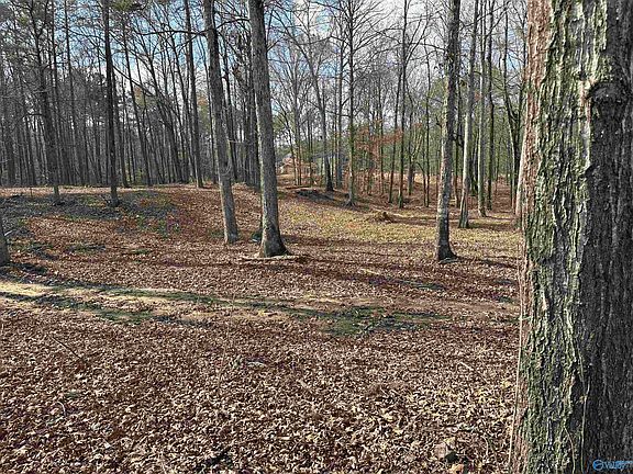 4th image of Ghost Hill Rd