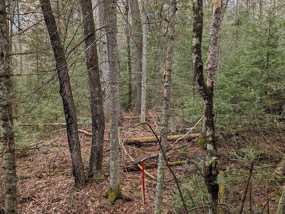 2nd image of On Ayers Ln