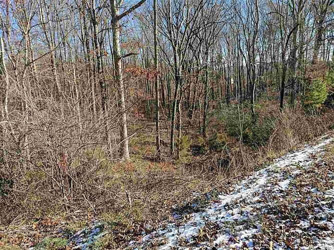 2nd image of 63 County Road 100