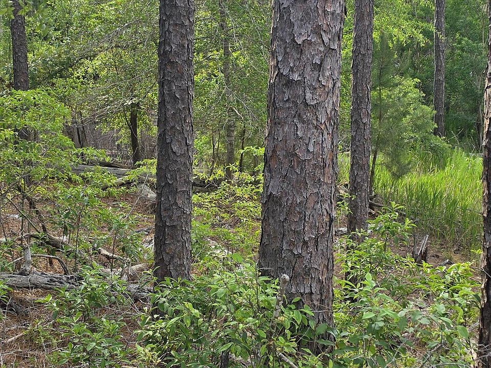 2nd image of 1700 Raeford Road