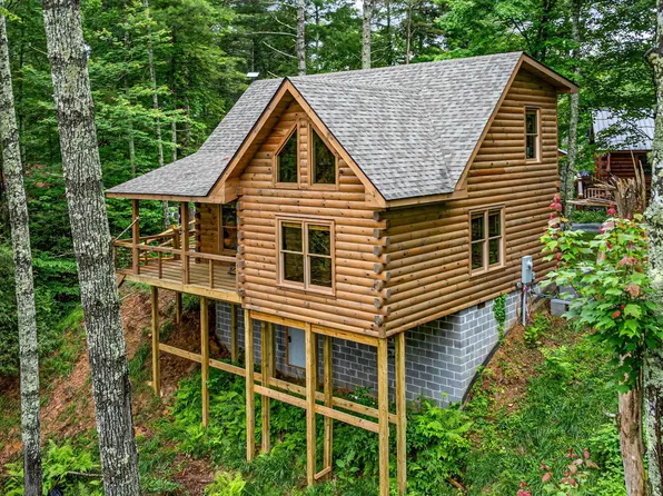 231 Conley Branch Rd, Blue Ridge, GA 30513