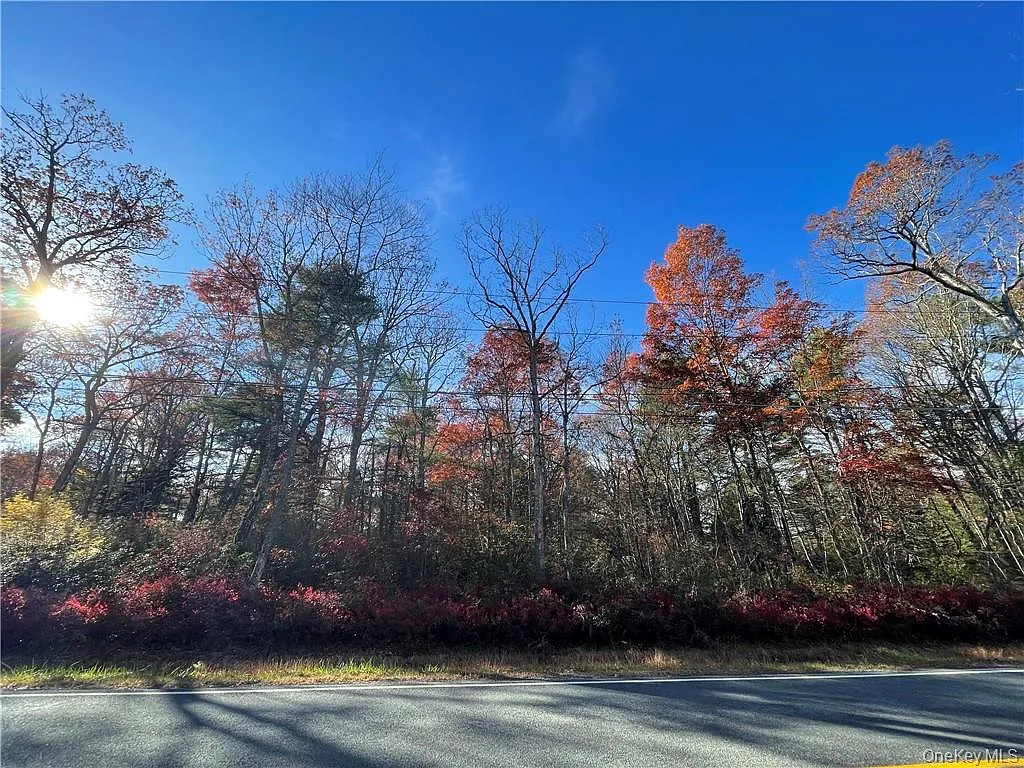 Lot 84 Forestburgh Road photo 1