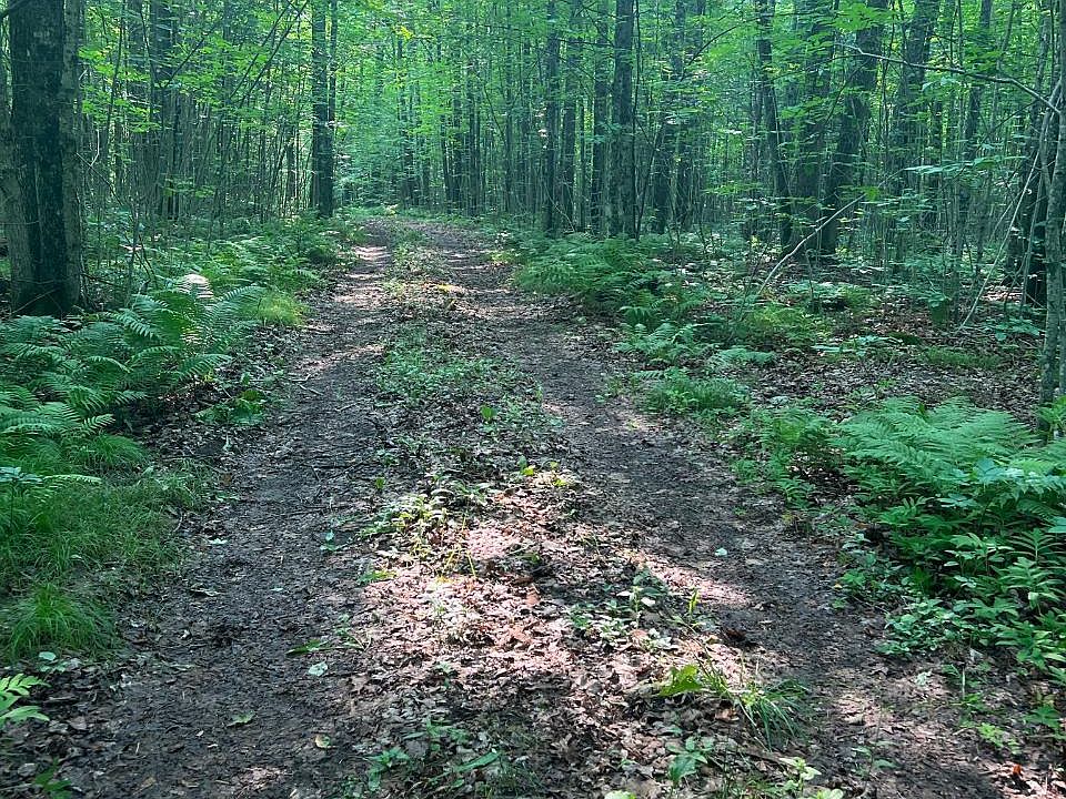 4357 Popple Ln, Long Lake, WI 54542 MLS 202949 Zillow