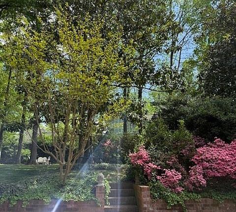 5th image of 5023 Sharon Woods Ln