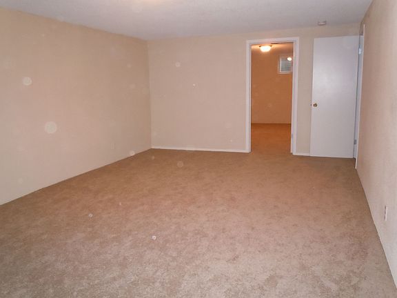 Basement Living Room