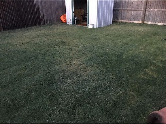 Storage shed in backyard