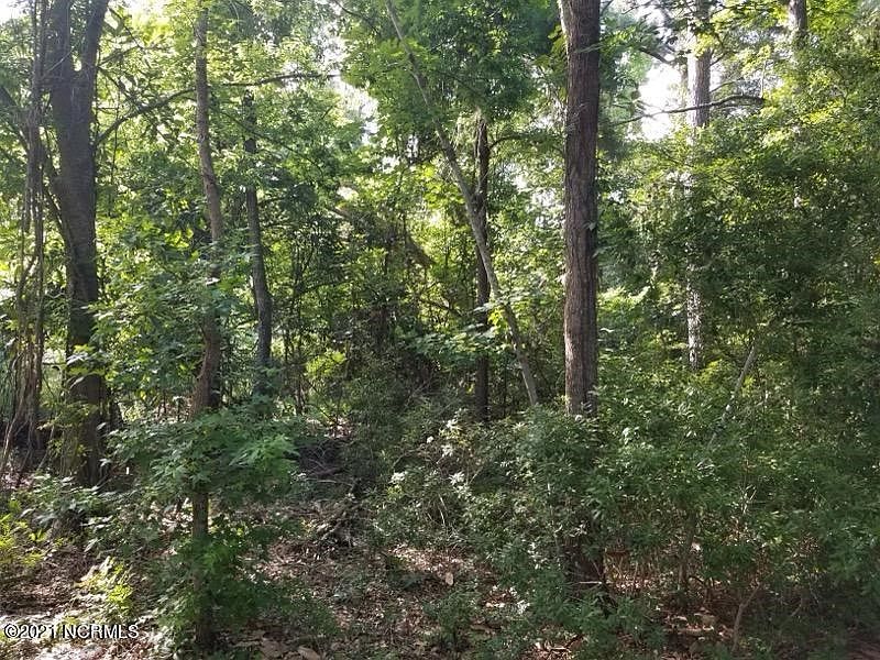 2nd image of 1001 Oyster Point Dr