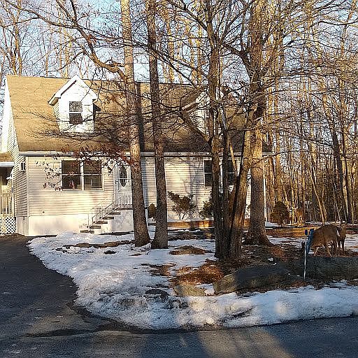 269 Wild Acres Dr, Dingmans Ferry, PA 18328 Zillow