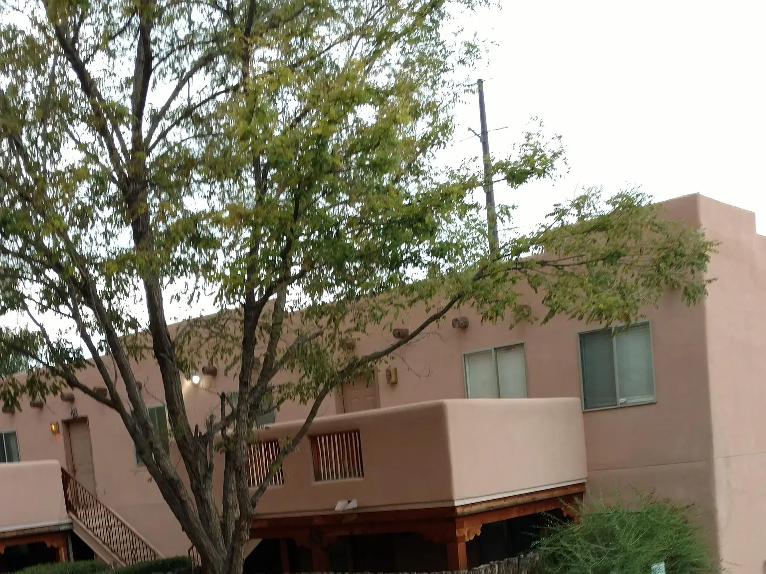 3300 Rufina St — Photo 3