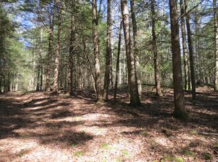 LOT 35 Bear Run Rd, Narrowsburg, NY 12764